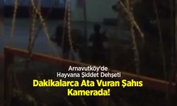Arnavutköy'de Hayvana Şiddet Dehşeti: Dakikalarca Ata Vuran Şahıs Kamerada!