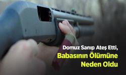 Domuz Sanıp Ateş Etti, Babasının Ölümüne Neden Oldu