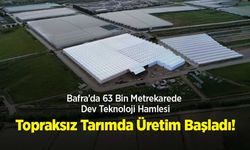 Bafra’da 63 Bin Metrekarede Dev Teknoloji Hamlesi: Topraksız Tarımda Üretim Başladı!