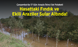 Çarşamba'da 17 Gün Arayla İkinci Sel Felaketi: Hasattaki Fındık ve Ekili Araziler Sular Altında!