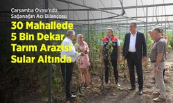 Çarşamba Ovası'nda Sağanağın Acı Bilançosu: 30 Mahallede 5 Bin Dekar Tarım Arazisi Sular Altında Kaldı!