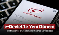 e-Devlet'te Yeni Dönem: Tüm Elektronik Para Hesapları Tek Ekranda Görülebilecek