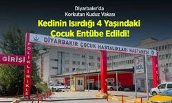 Diyarbakır'da Korkutan Kuduz Vakası: Kedinin Isırdığı 4 Yaşındaki Çocuk Entübe Edildi!