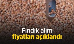 Fındık alım fiyatları açıklandı