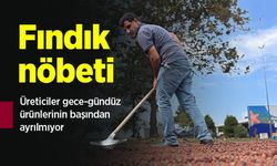 Fındık nöbeti: Üreticiler gece-gündüz ürünlerinin başından ayrılmıyor