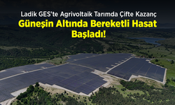 Ladik GES’te Agrivoltaik Tarımda Çifte Kazanç: Güneşin Altında Bereketli Hasat Başladı!
