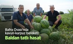 Bafra Ovası'nda kavun-karpuz bereketi: Baldan tatlı hasat