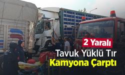 Tavuk Yüklü Tır Kamyona Çarptı: 2 Yaralı
