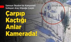 Samsun İlkadım'da Kamyoneti Sollayan Araç Köpeğe Çarptı: Çarpıp Kaçtığı Anlar Kamerada!