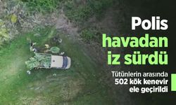 Polis havadan iz sürdü: Tütünlerin arasında 502 kök kenevir ele geçirildi