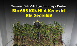 Samsun Bafra’da Uyuşturucuya Darbe: Bin 655 Kök Hint Keneviri Ele Geçirildi!