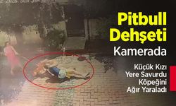 Pitbull Dehşeti Kamerada: Küçük Kızı Yere Savurdu, Köpeğini Ağır Yaraladı