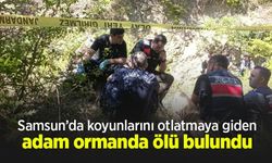 Samsun’da koyunlarını otlatmaya giden adam ormanda ölü bulundu