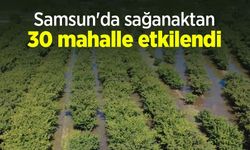 Samsun'da sağanaktan 30 mahalle etkilendi