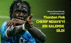 Marius Mouandilmadji ve Fatih bana yeter' Thorsten Fink CHERİF NDİAYE'Yİ BİR KALEMDE SİLDİ