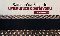 Samsun’da 5 ilçede uyuşturucu operasyonu: 12 kişi yakalandı