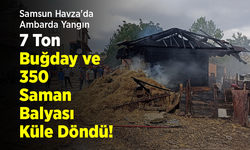 Samsun Havza'da Ambarda Yangın: 7 Ton Buğday ve 350 Saman Balyası Küle Döndü!