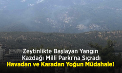 Zeytinlikte Başlayan Yangın Kazdağı Milli Parkı'na Sıçradı: Havadan ve Karadan Yoğun Müdahale!