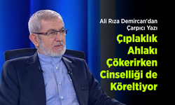 Ali Rıza Demircan'dan Çarpıcı Yazı: "Çıplaklık Ahlakı Çökerirken Cinselliği de Köreltiyor"
