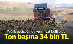 Yağlık ayçiçeğinde yeni fiyat belli oldu: Ton başına 34 bin TL