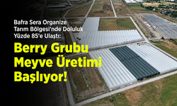 Bafra Sera Organize Tarım Bölgesi'nde Doluluk Yüzde 85'e Ulaştı: Berry Grubu Meyve Üretimi Başlıyor!