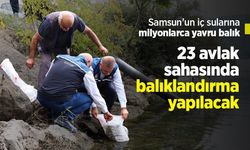 Samsun’un iç sularına milyonlarca yavru balık: 23 avlak sahasında balıklandırma yapılacak