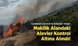 Çanakkale Ayvacık’ta Korkutan Yangın: Makilik Alandaki Alevler Kontrol Altına Alındı!