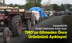 Çarşamba'da Fındık Üreticisine Kritik Uyarı: "TMO'ya Gitmeden Önce Ürününüzü Ayıklayın!"