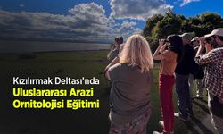 Kızılırmak Deltası’nda Uluslararası Arazi Ornitolojisi Eğitimi