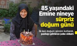 85 yaşındaki Emine nineye sürpriz doğum günü: "İlk kez doğum günüm kutlandı, pastayı görünce şoke oldum"