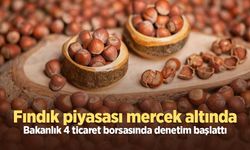 Fındık piyasası mercek altında: Bakanlık 4 ticaret borsasında denetim başlattı