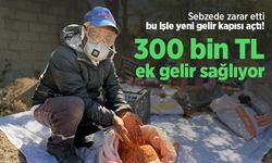 Sebzede zarar etti, bu işle yeni gelir kapısı açtı! 300 bin TL ek gelir sağlıyor