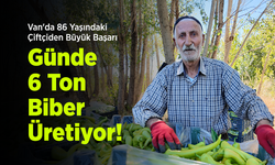 Van'da 86 Yaşındaki Çiftçiden Büyük Başarı: Günde 6 Ton Biber Üretiyor!