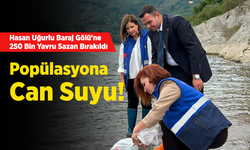 Hasan Uğurlu Baraj Gölü'ne 250 Bin Yavru Sazan Bırakıldı: Popülasyona Can Suyu!