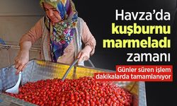 Havza’da kuşburnu marmeladı zamanı: Günler süren işlem dakikalarda tamamlanıyor