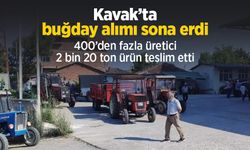 Kavak’ta buğday alımı sona erdi: 400’den fazla üretici 2 bin 20 ton ürün teslim etti