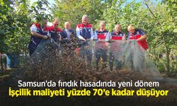 Samsun’da fındık hasadında yeni dönem: İşçilik maliyeti yüzde 70’e kadar düşüyor