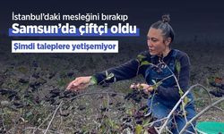İstanbul’daki mesleğini bırakıp Samsun’da çiftçi oldu: Şimdi taleplere yetişemiyor