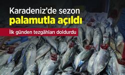 Karadeniz’de sezon palamutla açıldı: İlk günden tezgâhları doldurdu