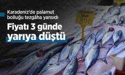 Karadeniz’de palamut bolluğu tezgâha yansıdı: Fiyatı 3 günde yarıya düştü