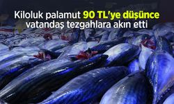 Kiloluk palamut 90 TL'ye düşünce vatandaş tezgahlara akın etti