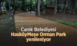 Canik Belediyesi Hasköy Meşe Orman Park yenileniyor