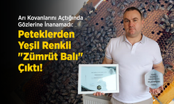 Arı Kovanlarını Açtığında Gözlerine İnanamadı: Peteklerden Yeşil Renkli "Zümrüt Balı" Çıktı!