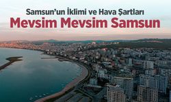 Samsun’un İklimi Nasıl? Mevsimler ve Hava Şartları