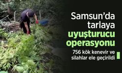 Samsun’da tarlaya uyuşturucu operasyonu: 756 kök kenevir ve silahlar ele geçirildi