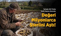 Tarlada 244 Torba Tarihi Hazine Bulundu: Değeri Milyonlarca Sterlini Aştı!