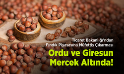 Ticaret Bakanlığı'ndan Fındık Piyasasına Müfettiş Çıkarması: Ordu ve Giresun Mercek Altında!