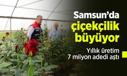 Samsun’da çiçekçilik büyüyor: Yıllık üretim 7 milyon adedi aştı