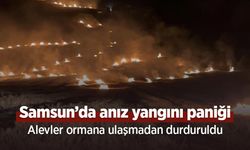 Samsun’da anız yangını paniği: Alevler ormana ulaşmadan durduruldu