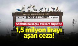 Samsun’da kaçak avcılara suçüstü: 1,5 milyon lirayı aşan ceza!